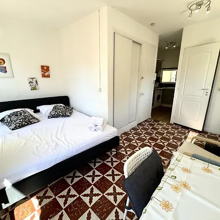 Vieux Vista Ap4503 By Riviera Homes * Nice